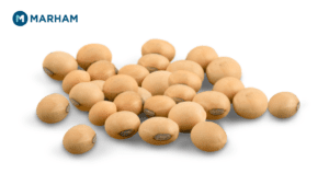 Soybeans are one of the known plant foods to have all the essential amino acids