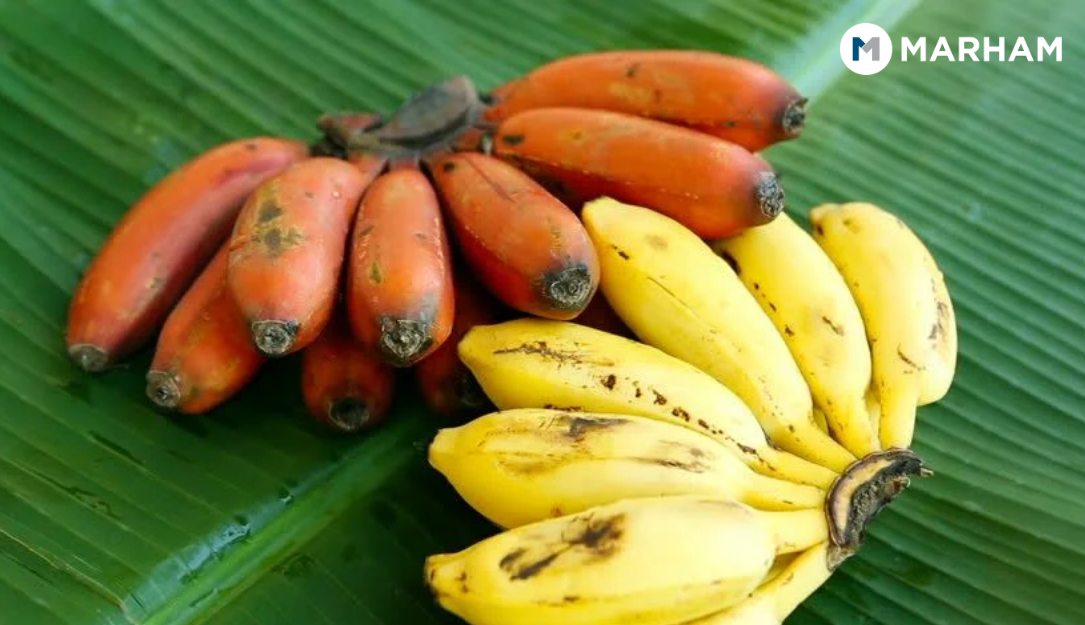 red banana benefits for fertility