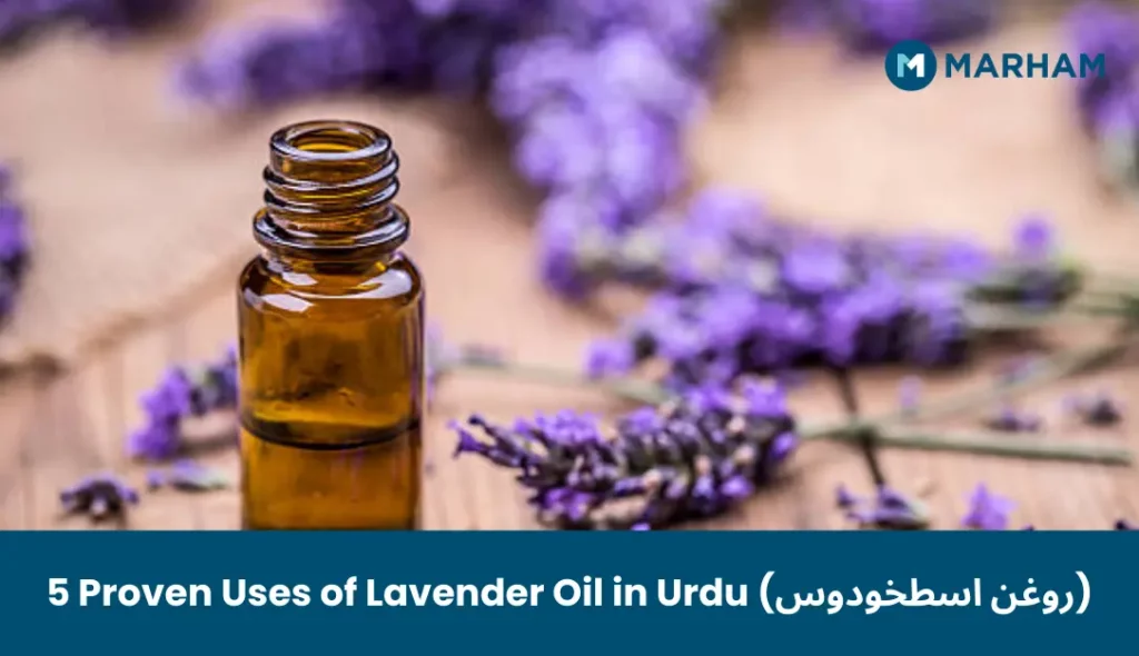 5 Proven Uses of Lavender Oil in Urdu (روغن اسطخودوس)