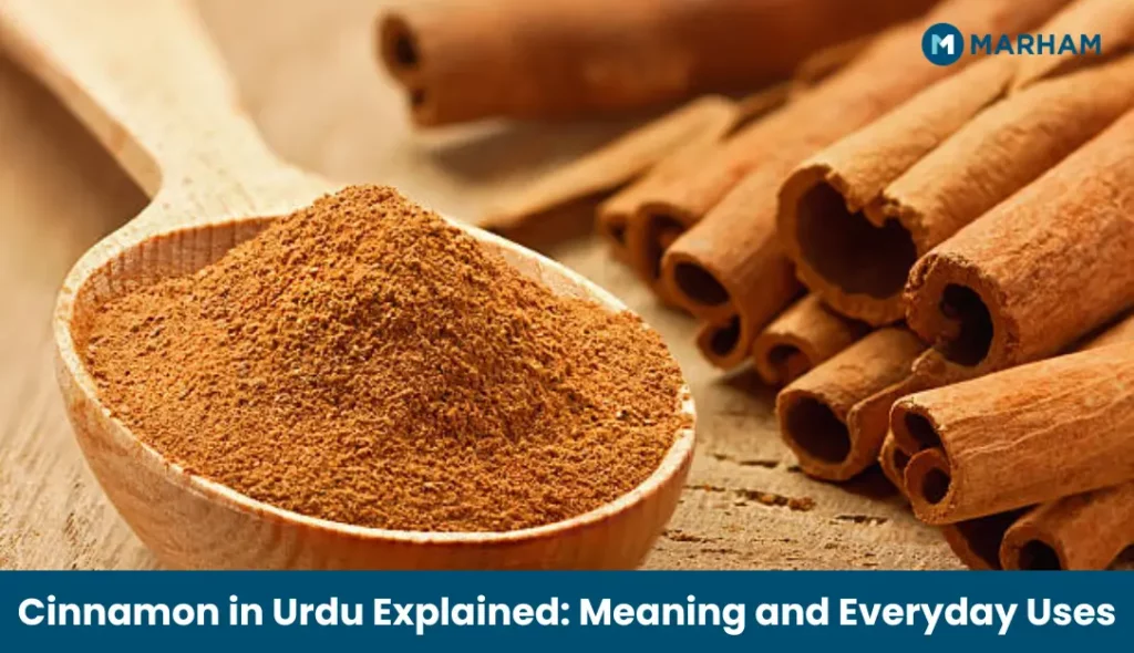 Cinnamon in Urdu Explained_ Meaning and Everyday Uses