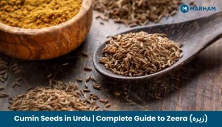 Cumin Seeds in Urdu _ Complete Guide to Zeera (زیرہ)