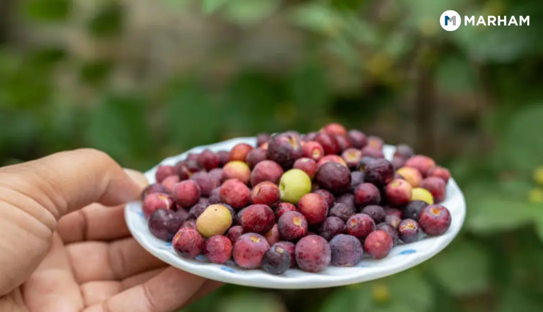 Falsa Good for Diabetics