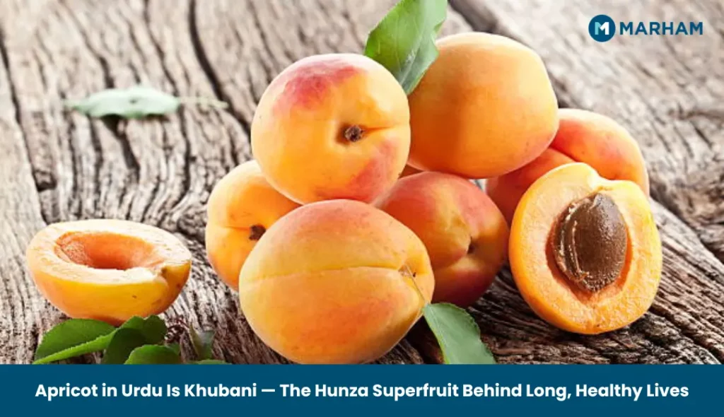 Apricot in Urdu Is Khubani — The Hunza Superfruit Behind Long, Healthy Lives Apricot in Urdu Is Khubani — The Hunza Superfruit Behind Long, Healthy Lives