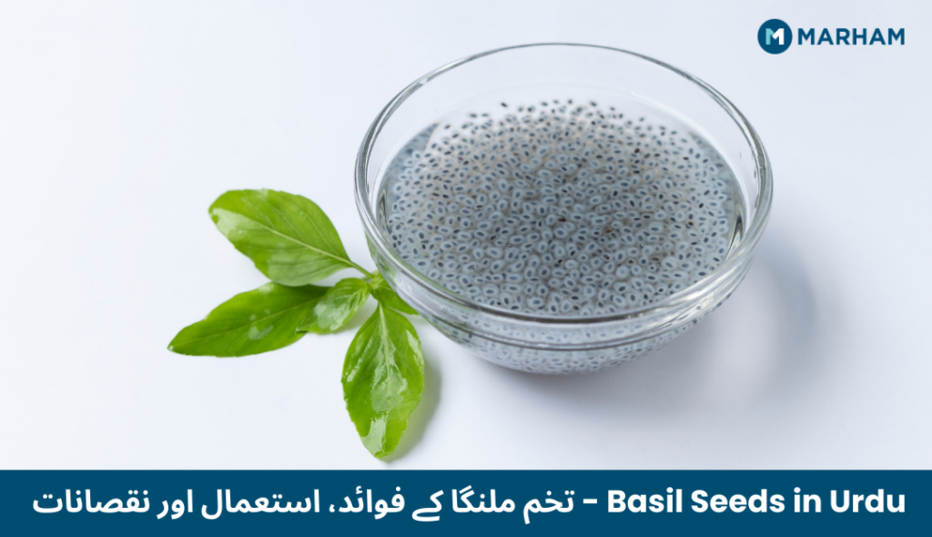 Basil Seeds in Urdu | Complete Guide to تخم ملنگا Basil Seeds in Urdu - تخم ملنگا کے فوائد، استعمال اور نقصانات