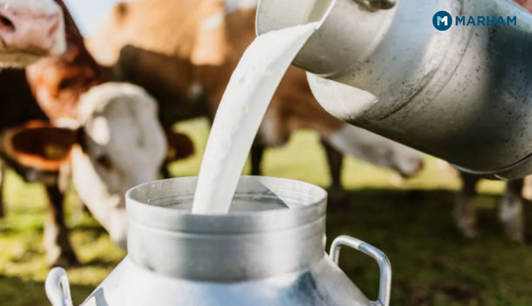 Milk Reduces Acidity and Stomach Problems