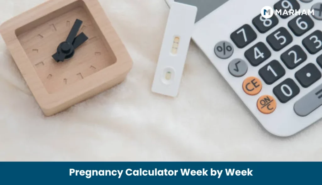 Pregnancy Calculator Week by Week Pregnancy Calculator Week by Week