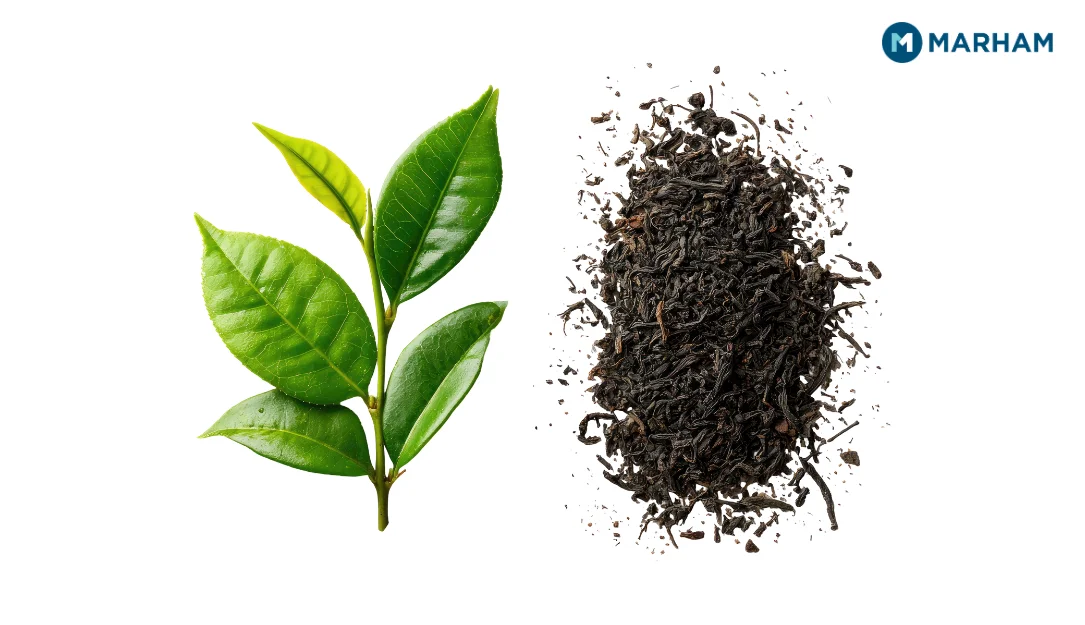 How to Drink Paragis Grass Tea