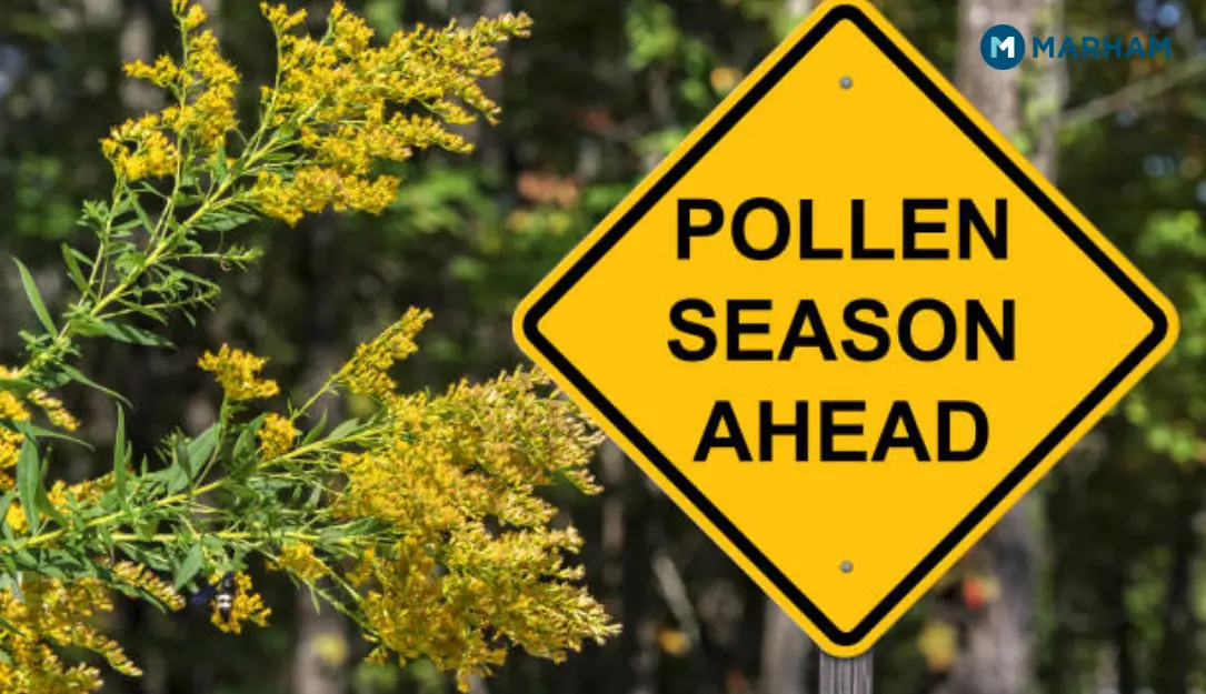 How to Get Relief From Spring Allergies
