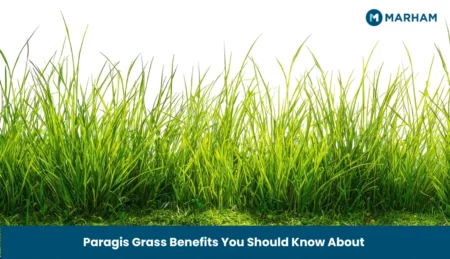 Paragis Grass Benefits You Should Know About Paragis Grass Benefits You Should Know About