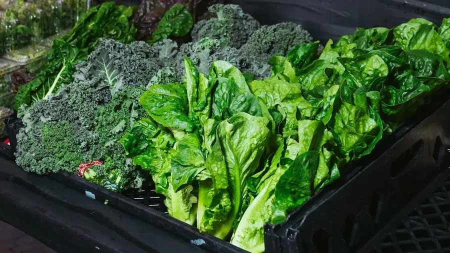 10. Leafy Greens