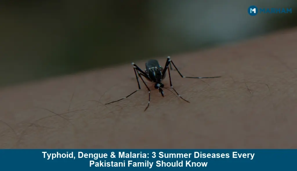 Typhoid, Dengue & Malaria: 3 Summer Diseases Every Pakistani Family Should Know Typhoid, Dengue & Malaria: 3 Summer Diseases Every Pakistani Family Should Know