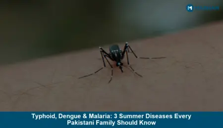 Typhoid, Dengue & Malaria: 3 Summer Diseases Every Pakistani Family Should Know Typhoid, Dengue & Malaria: 3 Summer Diseases Every Pakistani Family Should Know