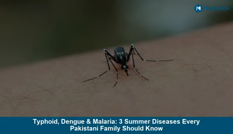 Typhoid, Dengue & Malaria: 3 Summer Diseases Every Pakistani Family Should Know