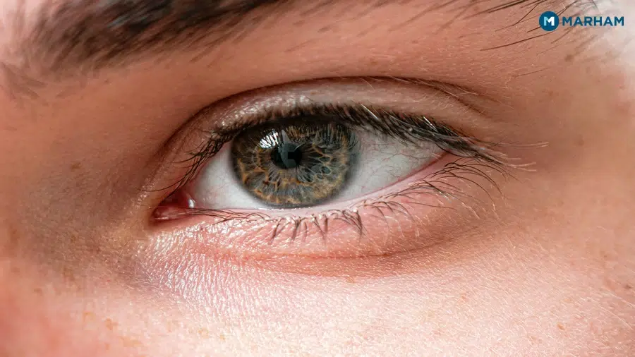 Skin, Immunity, and Eye Health