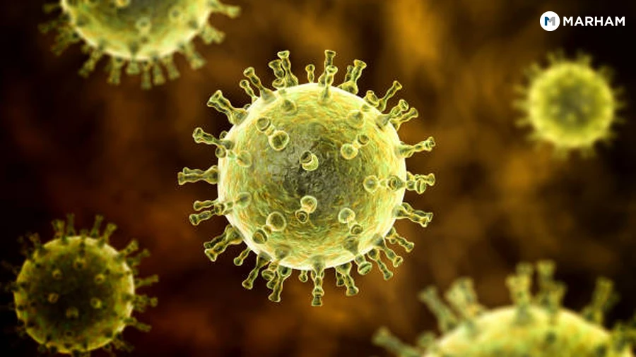 How Chickenpox Immunity Works
