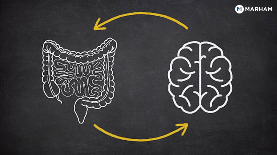 What Is the Gut-Brain Axis?