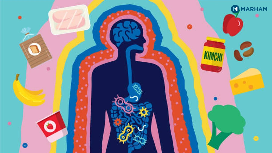 How Stress Disrupts the Gut, and Vice Versa