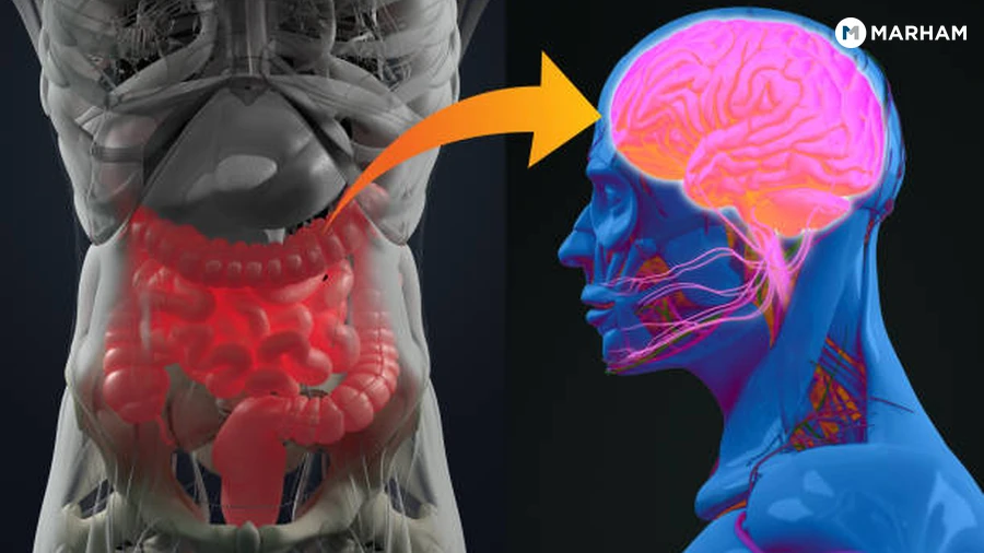 Signs Your Gut-Brain Axis May Be Struggling