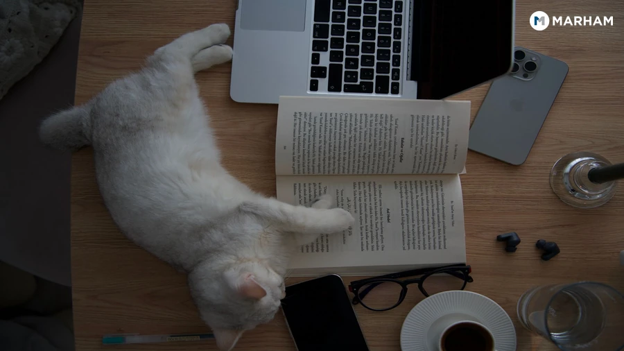 Power Nap vs Coffee: Which Works Better?