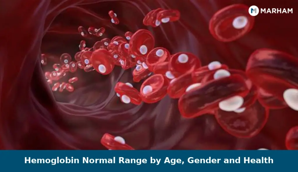 Hemoglobin Normal Range by Age, Gender and Health