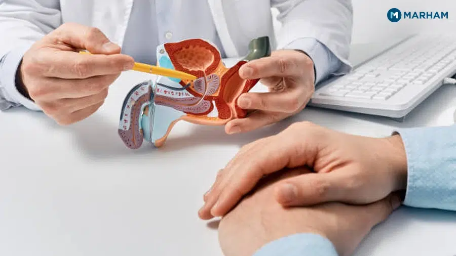 Kidney Stones (گردے کی پتھری)